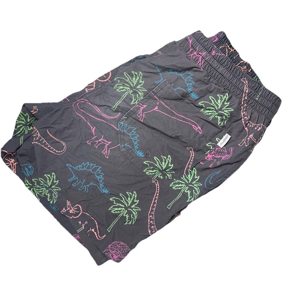 Chubbies Swim Trunks 5" Men's Medium Lined Pastel Dinosaurs Print - Picture 1 of 7